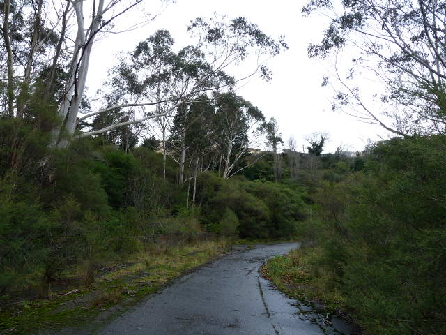 Race track at the Gully, Katoomba